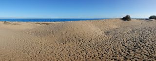 GC-Dunas de Maspalomas sunset 2026-007.jpg